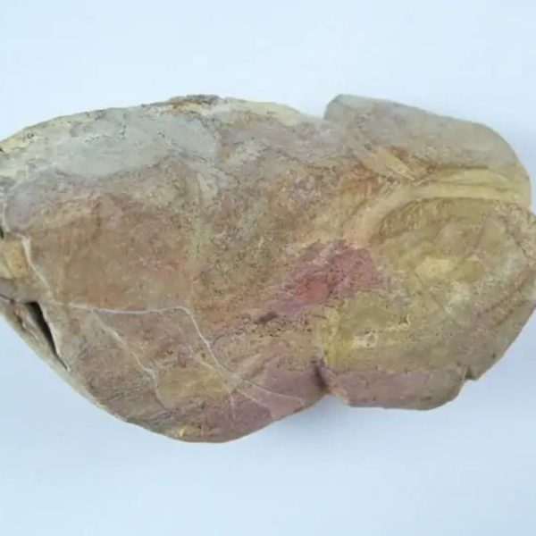 Asem Wood Pearl - Type A3 - Image 3