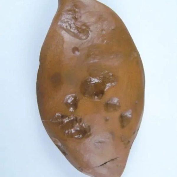 Asem Wood Pearl-Type A2
