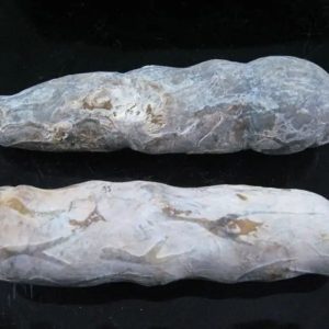 Gunosari Wood Pearl - Type B1 (White)
