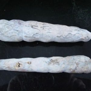 Gunosari Wood Pearl - Type B2 (White)