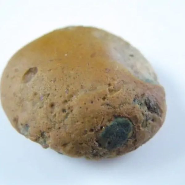 Dewadaru Wood Pearl - Type A1 - Image 4