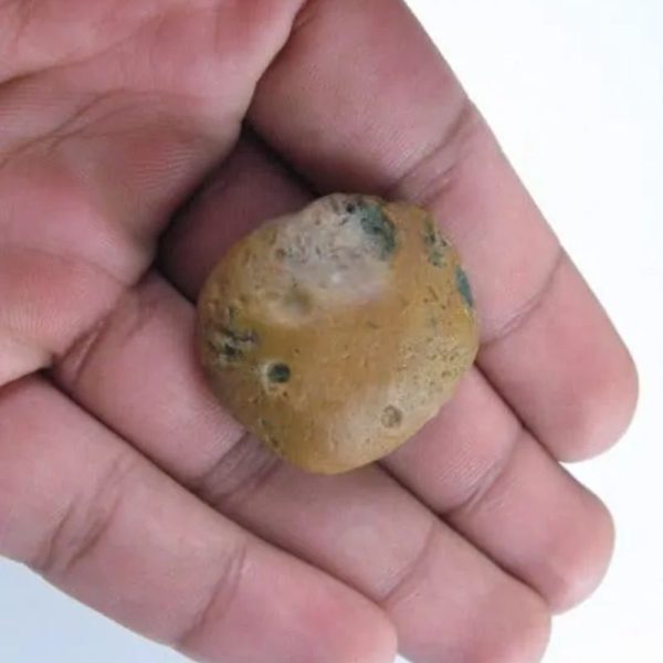 Dewadaru Wood Pearl - Type A1 - Image 2