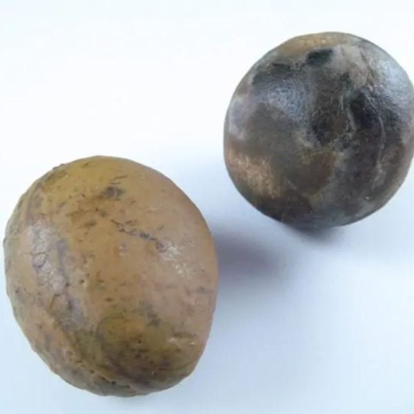 Dewadaru Wood Pearl - Type A2 - Image 3