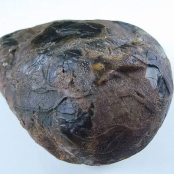 Dewadaru Wood Pearl - Type A5 - Image 3