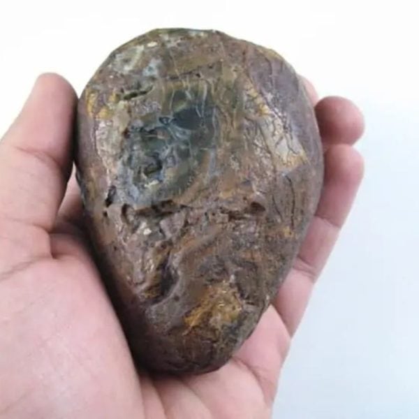 Dewadaru Wood Pearl - Type A5 - Image 2