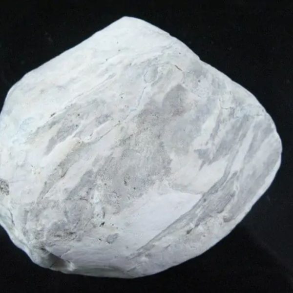 Dewadaru Wood Fossil - Type B1 - Image 4