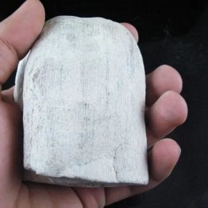Dewadaru Wood Fossil - Type B3