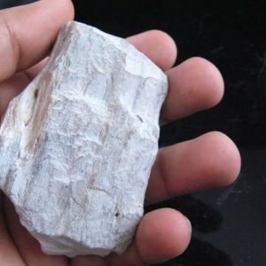 Kaboa Wood Fossilized - Type B2
