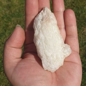 Elephant Semen Fossil - Type C3