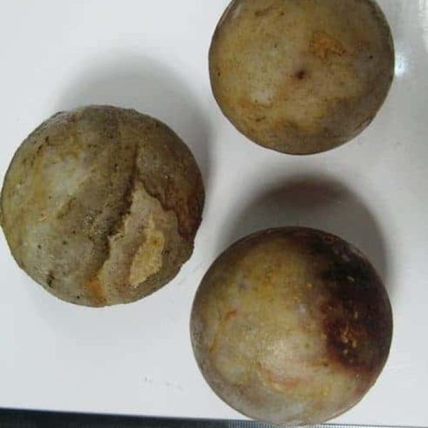 Rhinoceros Pearl - Type O
