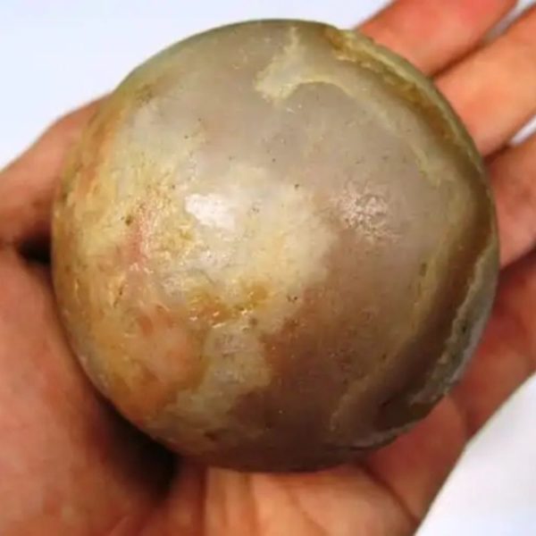Rhinoceros Pearls - Type O - Image 3