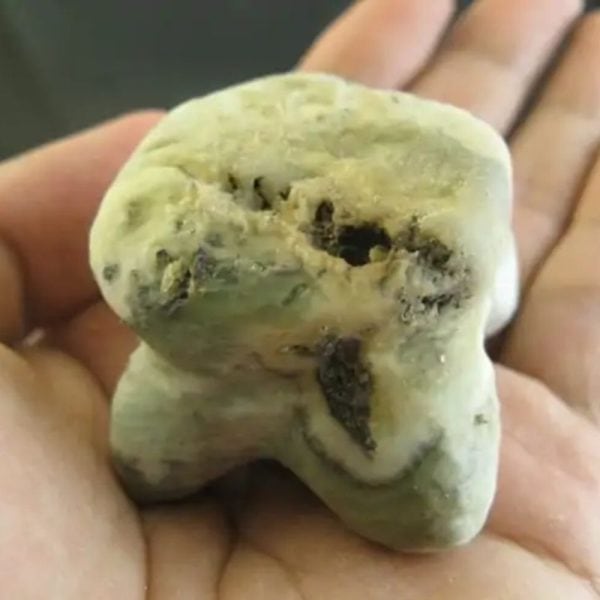 Dablang Buffalo Pearl - Type F1 (Foot Shapes) - Image 3