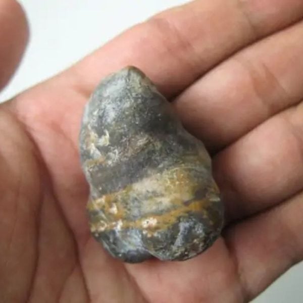 Boar Pearls - Type F1 - Image 3