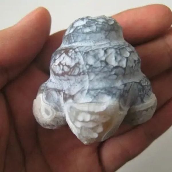 Boar Pearls - Type G1 - Image 3