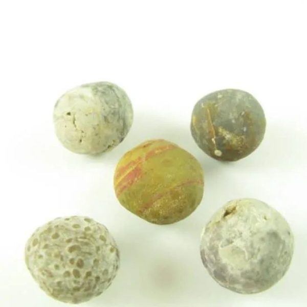 Tiger Forehead Pearls - Type D2 - Image 3