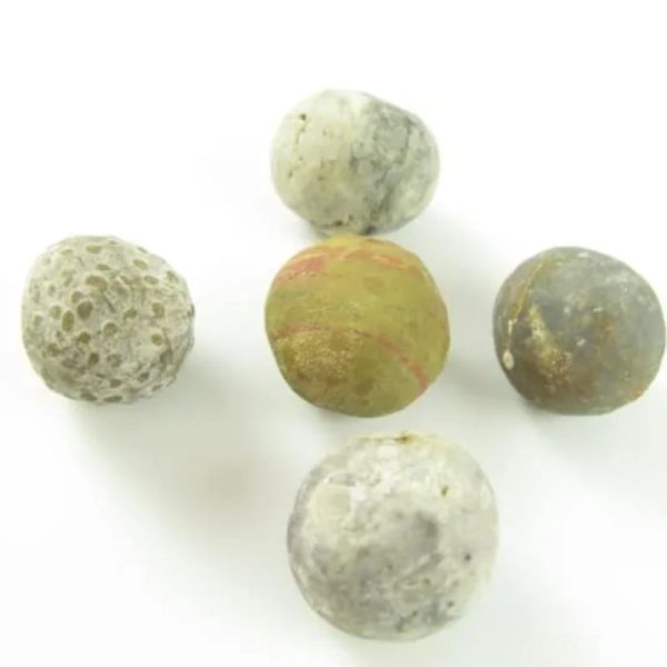Tiger Forehead Pearls - Type D2 - Image 2