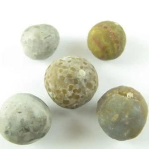 Tiger Forehead Pearls - Type D1