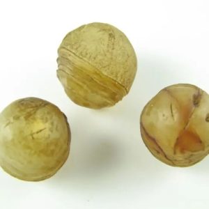Tiger Forehead Pearls - Type C3