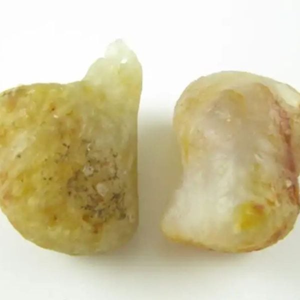 White Tiger Pearls - Type D3 - Image 4