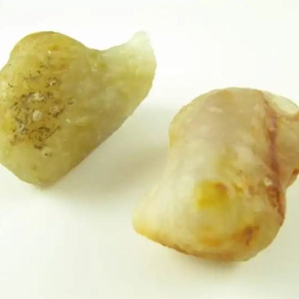 White Tiger Pearls - Type D3 - Image 2