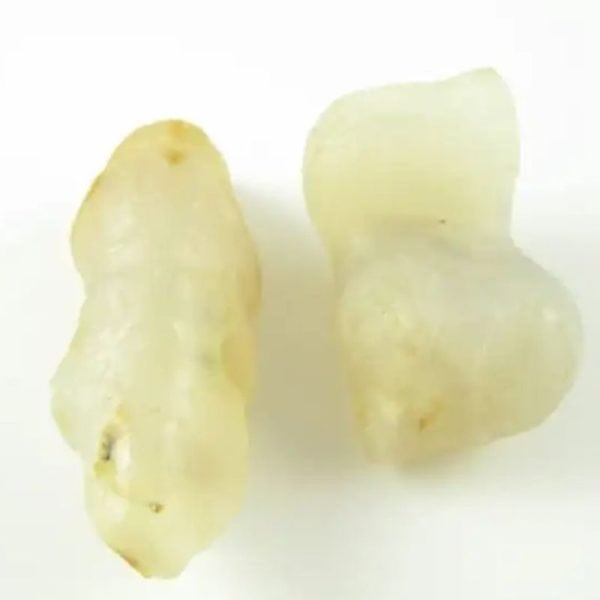 White Tiger Pearls - Type D2 - Image 3