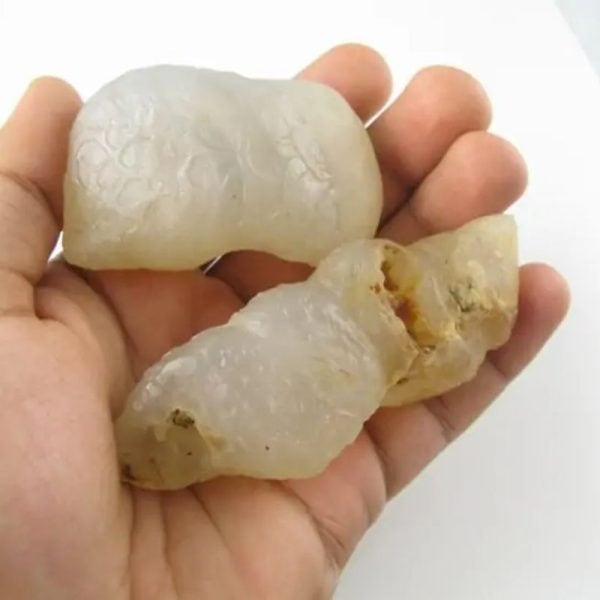 White Tiger Pearls - Type D2 - Image 2