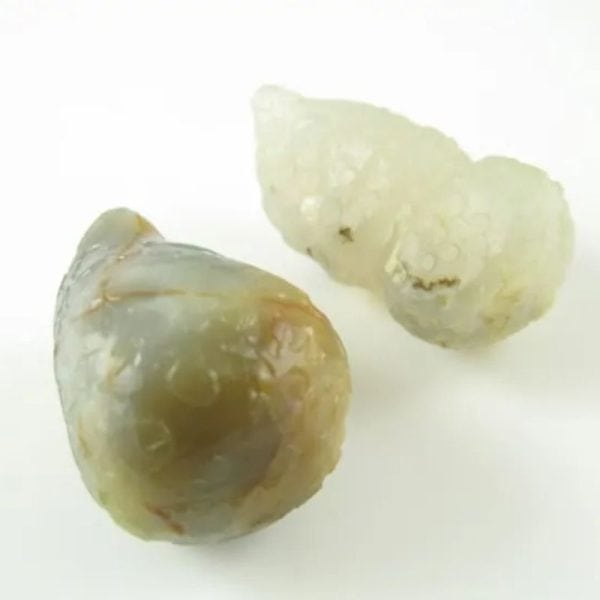 White Tiger Pearls - Type D1 - Image 2