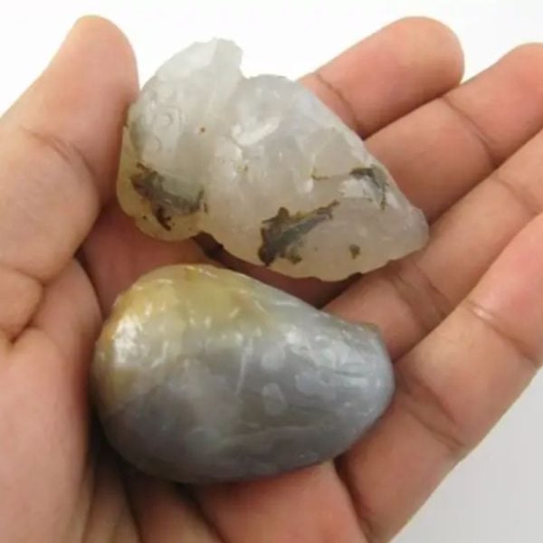 White Tiger Pearls - Type D1 - Image 4