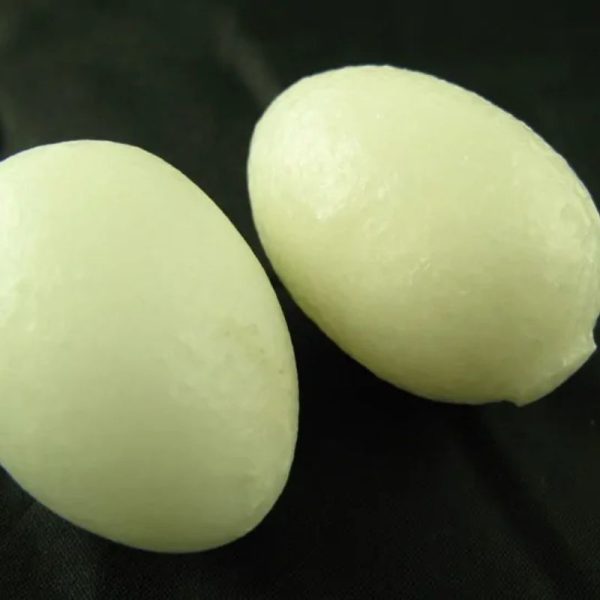White Tiger Eggs - Type A - Image 2