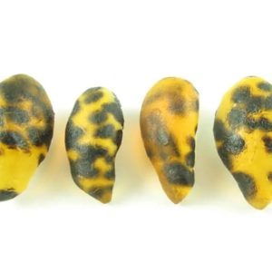 Tiger Pearls - Type F