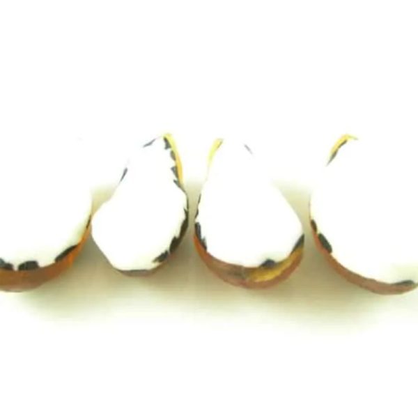 Tiger Pearls - Type F - Image 4