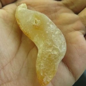 Tiger Brave Bone Fossil - Type A3