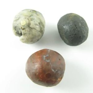 Leopard Forehead Pearl - Type A