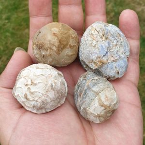 Orangutan Pearls - Type B2