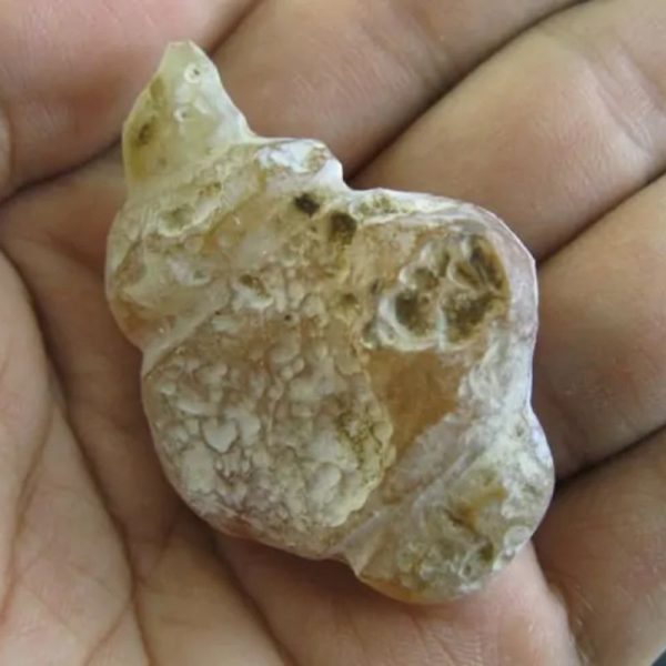 Orangutan Pearl - Type D3