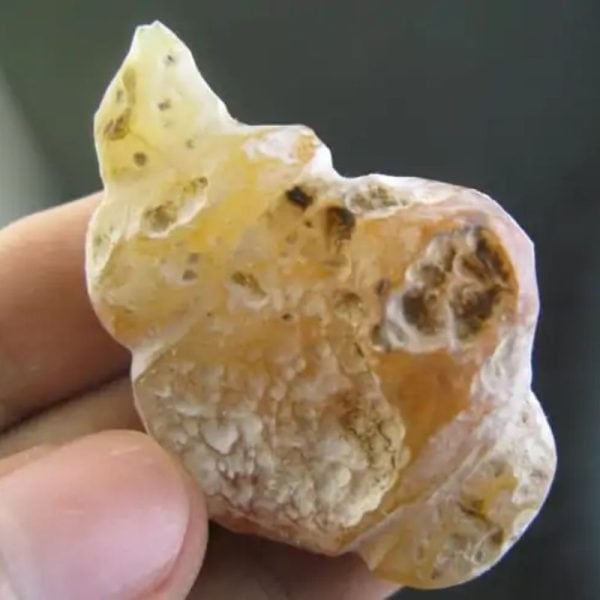 Orangutan Pearl - Type D3 - Image 2
