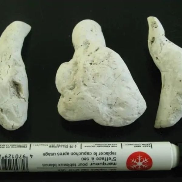 Monkey Pearl - Type L1 (White Monkey - Female)