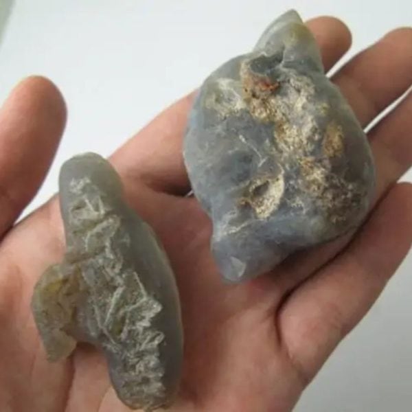 Porcupine Pearls - Type G1
