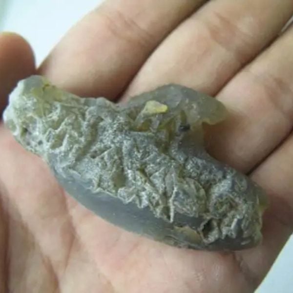 Porcupine Pearls - Type G1 - Image 3