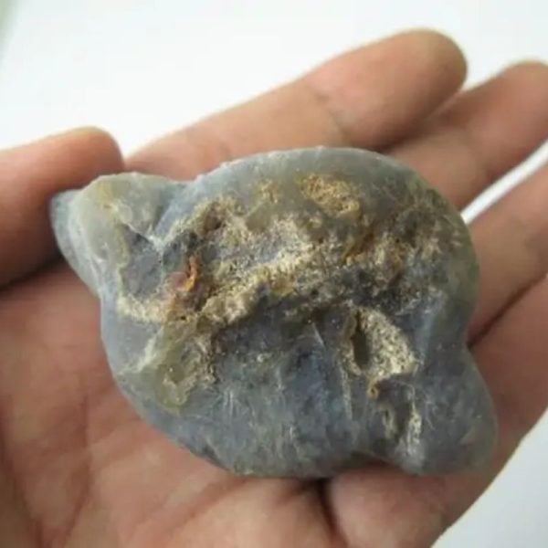 Porcupine Pearls - Type G1 - Image 2
