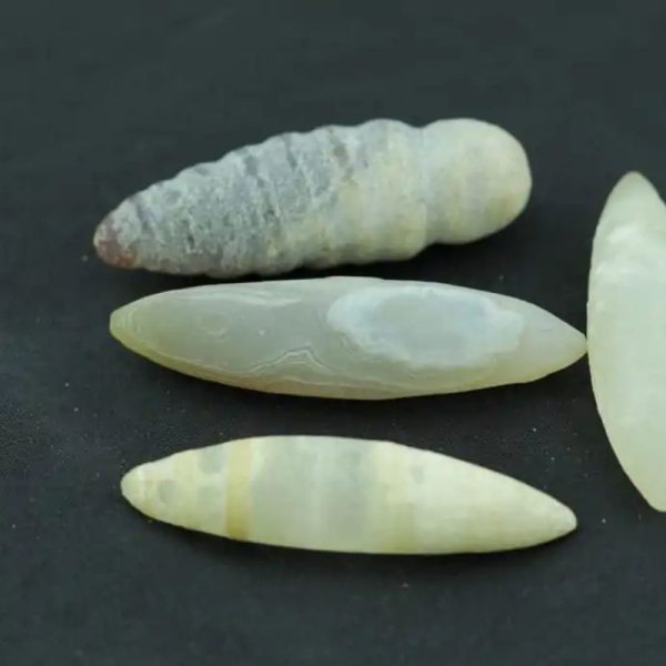 Porcupine Pearls - Type A