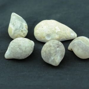 Female Porcupine Pearls - Type A2