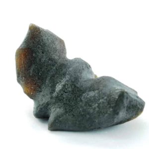 Bat Fossil - Type A3