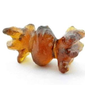 Bat Fossil - Type A1