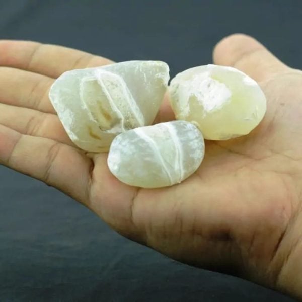 Deer Pearl Kencana - Type M - Image 2