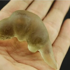 Fossilized Weasel Pearl - Type A17