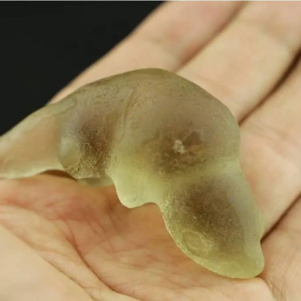 Fossilized Weasel Pearl - Type A17 - Image 3