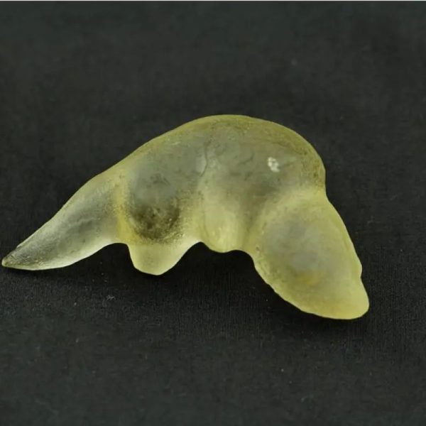 Fossilized Weasel Pearl - Type A17 - Image 4