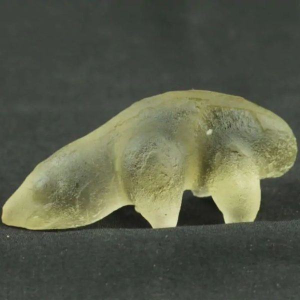 Fossilized Weasel Pearl - Type A1 - Image 3