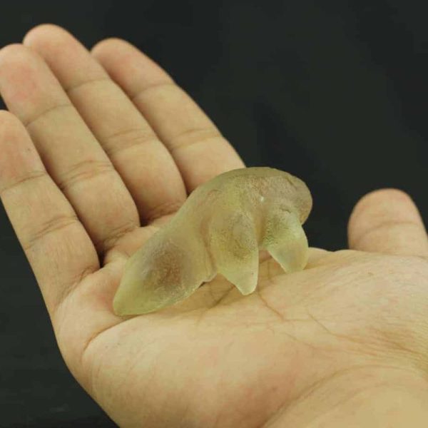 Fossilized Weasel Pearl - Type A1 - Image 2